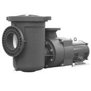 Pentair EQ Series Pumps 10 HP - Doheny's Pool Supplies Fast