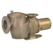 Pentair Commercial Bronze 3 Phase Inground Pool Pump with Hair and Lint Pot, 220/440V, 20 HP