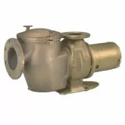 Pentair Commercial Bronze 3 Phase Inground Pool Pump with Hair and Lint Pot, 220/440V, 20 HP
