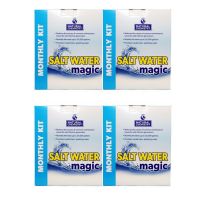 Natural Chemistry 07404 Salt Water Magic Kit, 4 Pack