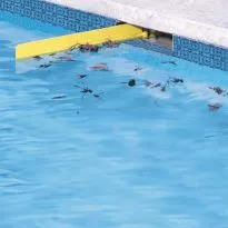Trap-It Pool Skimmer