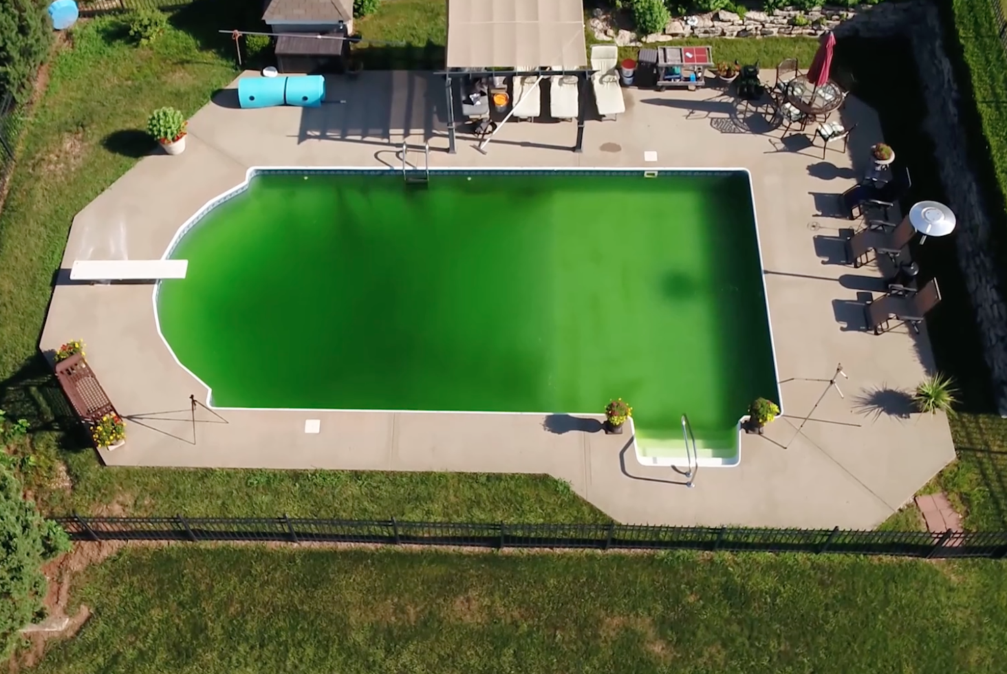 green pool water