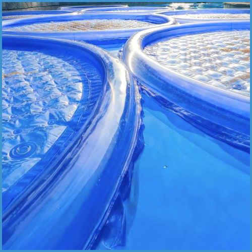 Doheny’s solar pool rings floating on the water, designed to help heat retention and warm the pool.
