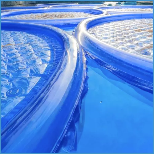Doheny’s solar pool rings floating on the water, designed to help heat retention and warm the pool.